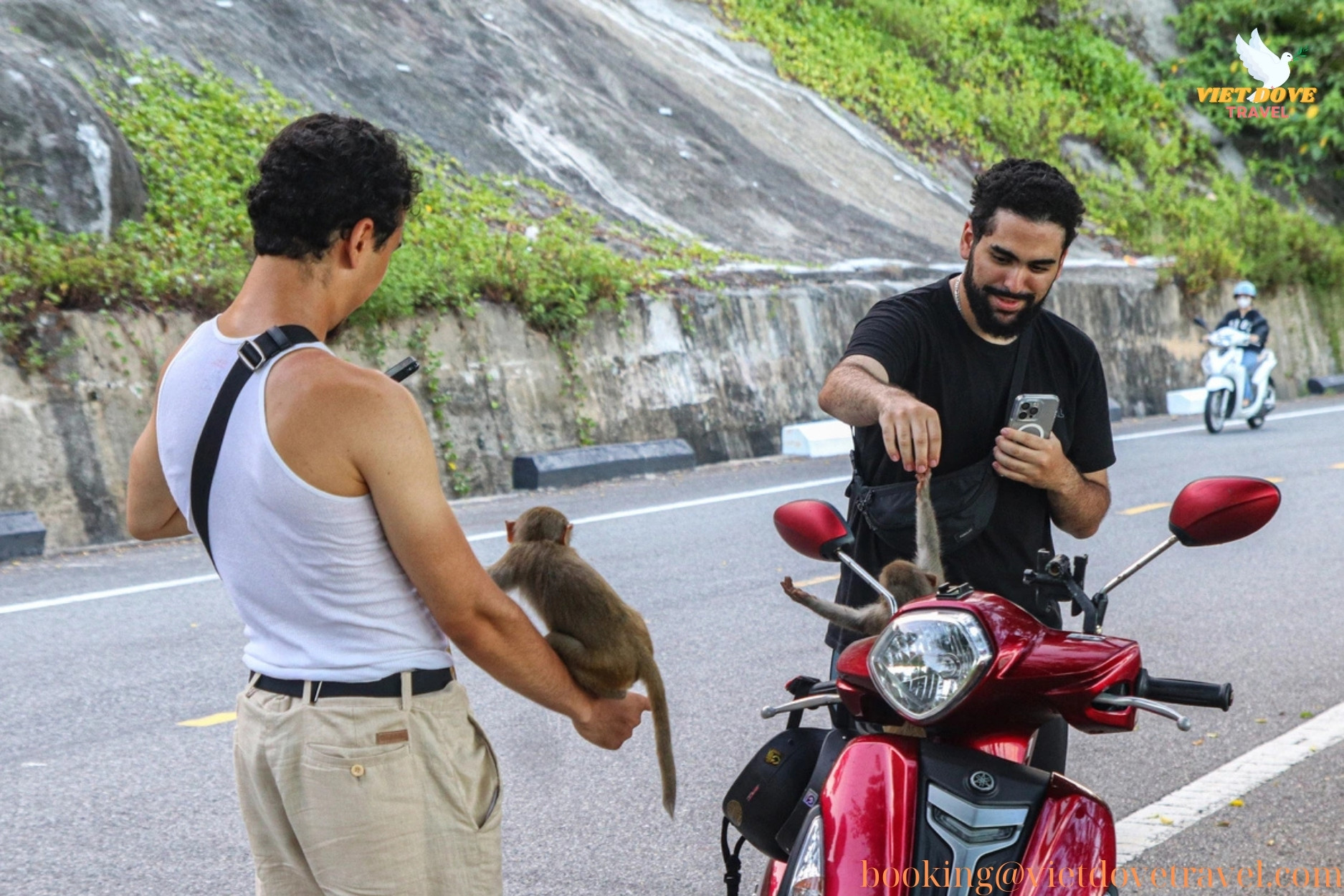 Tourist playing with monkeys at the foot of Linh Ung Pagoda, Son Tra.